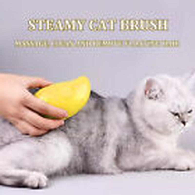 Rechargeable Shedding Hair Spray Hot Steam Easy Pet Grooming Brush for Cat, Dog